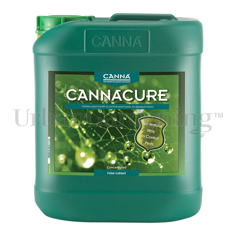 CANNACURE