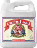 AN CarboLoad Liquid